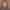 Andie Tiddy