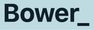 Bower Real Estate Ltd (Licensed: REAA 2008) - Papamoa