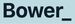 Bower Real Estate Ltd (Licensed: REAA 2008) - Tauranga